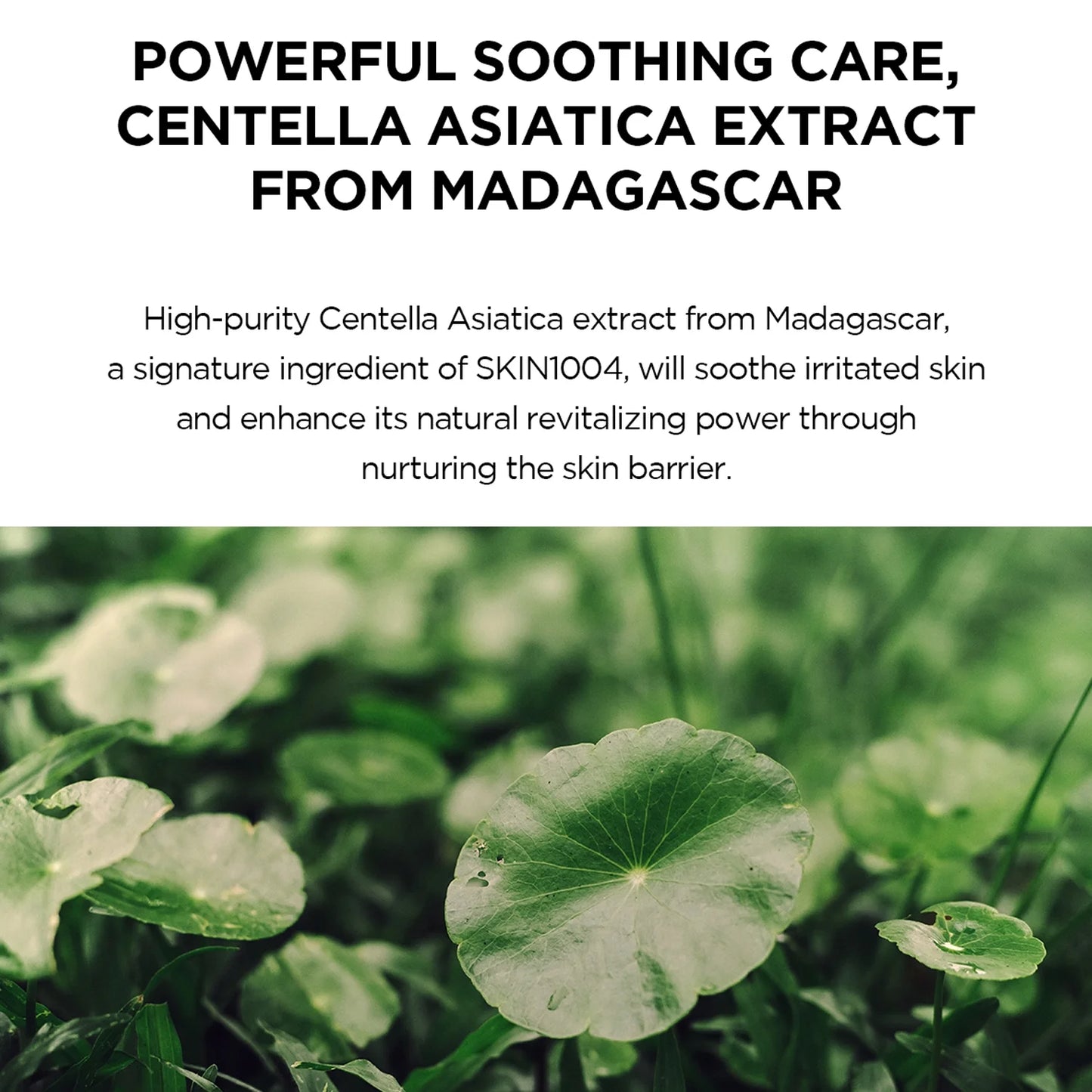 SKIN1004 Madagascar Centella, Hyalu-Cica Water-Fit Sun Serum SPF 50+ PA
